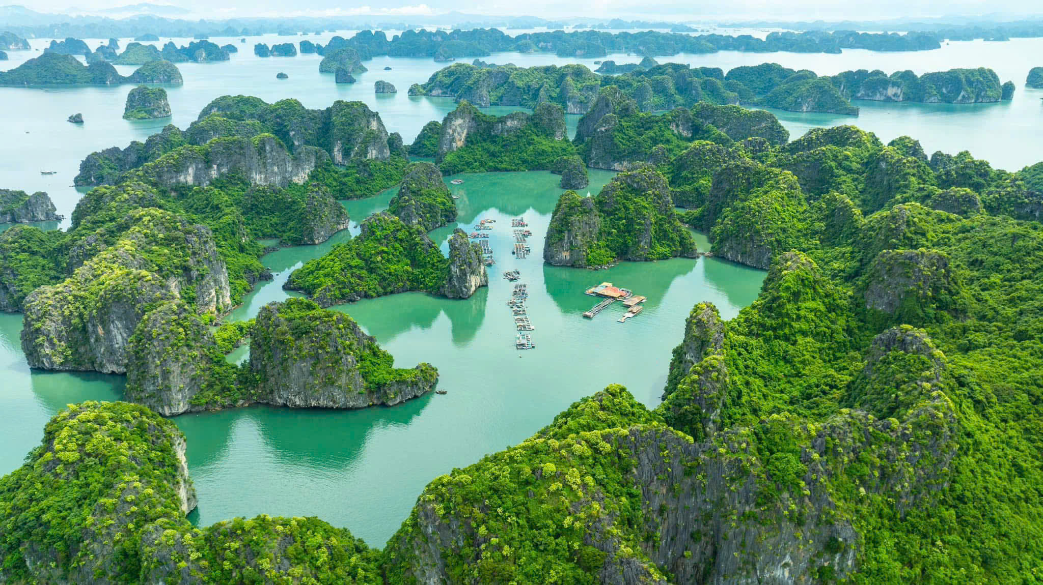 Is Bai Tu Long Bay Worth Visiting? 2 Bai Tu Long Bay vs. Halong Bay