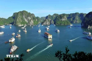 How Crowded Is Bai Tu Long Bay Compared to Halong Bay?