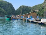 Bai Tu Long Bay Cruise on Treasure Junk (2 nights) 6 Bai Tu Long 11